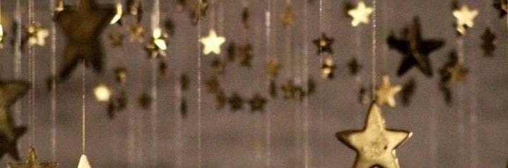 torisuzan's profile banner image