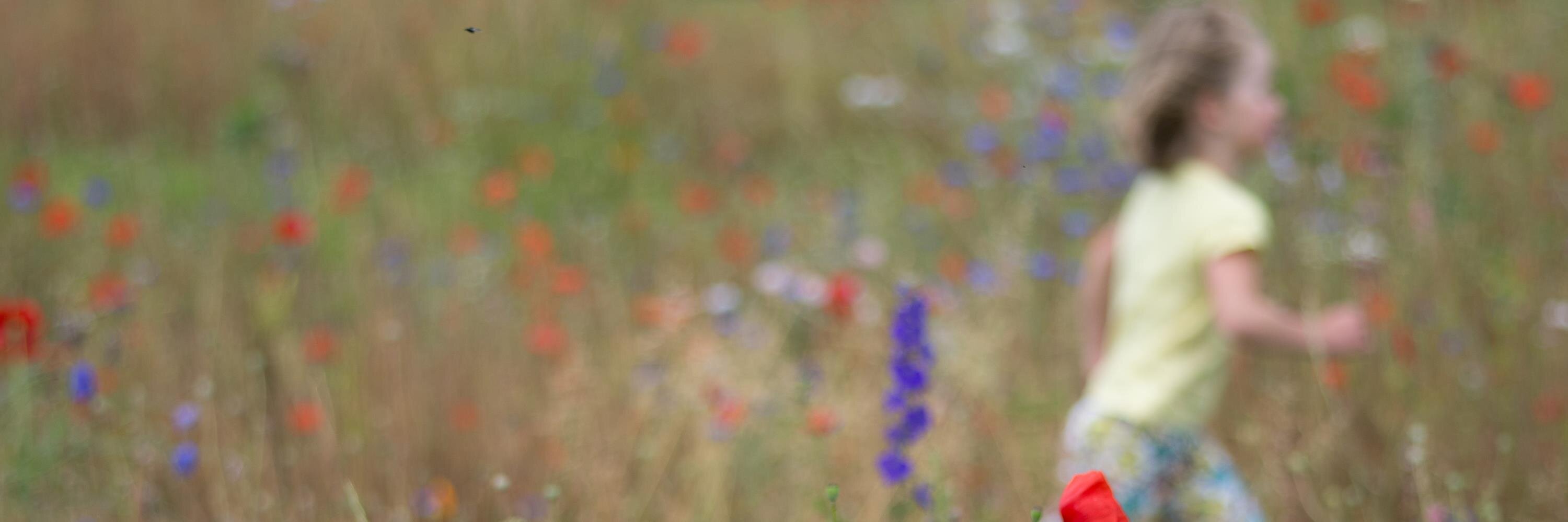 WhitstableChris's profile banner image