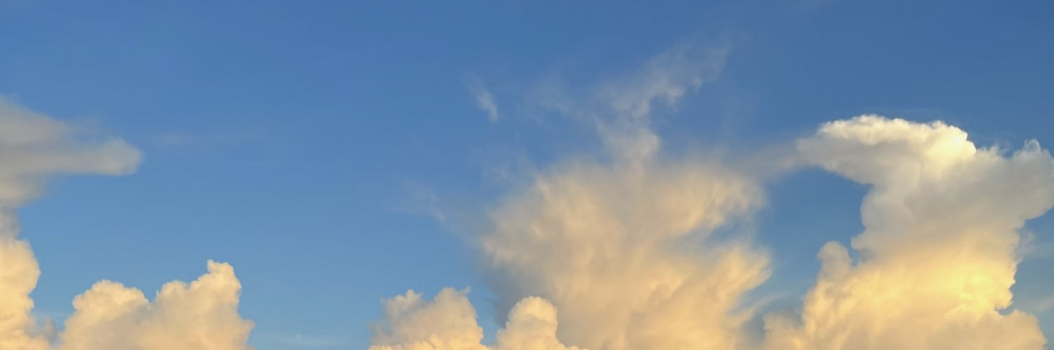 burymelilith's profile banner image