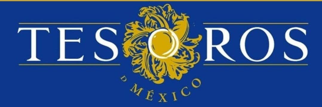 TesorosDMexico's profile banner image