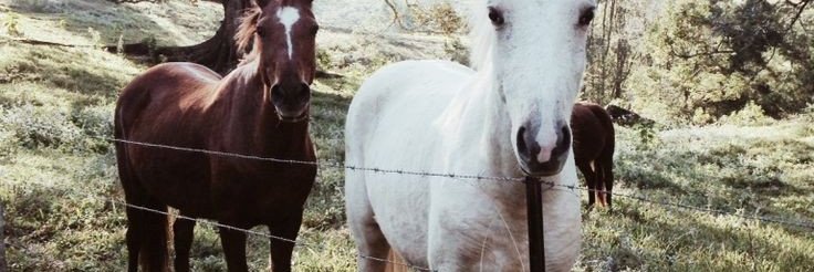 HandMeTequila's profile banner image