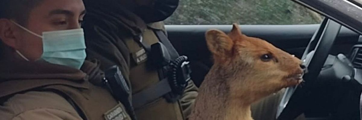 xXDAJOXx's profile banner image