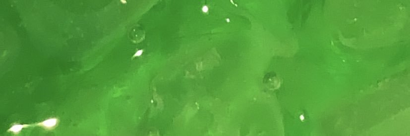 rn__x1212's profile banner image