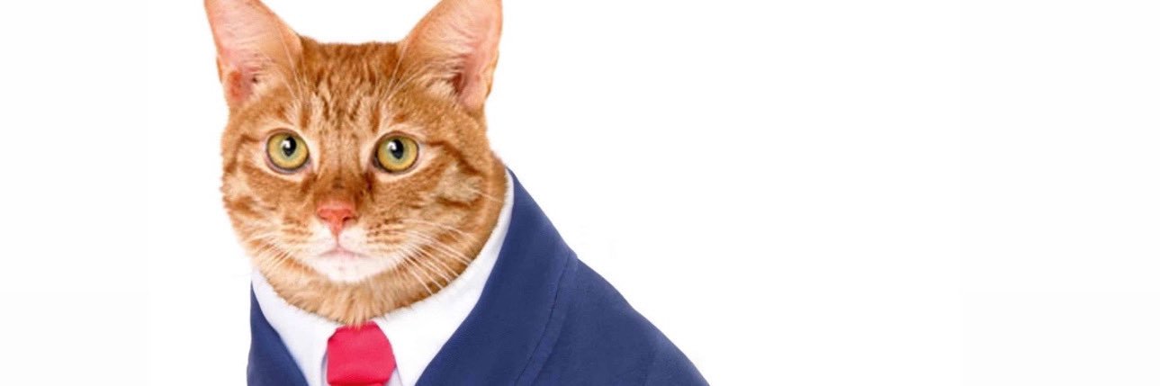 Strange.Sense banner