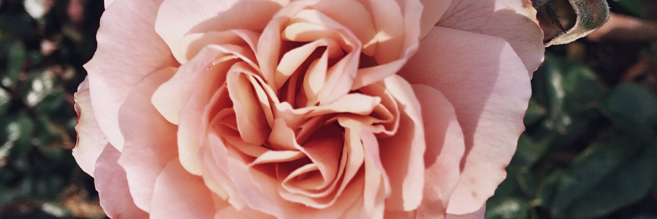 eelsagg's profile banner image