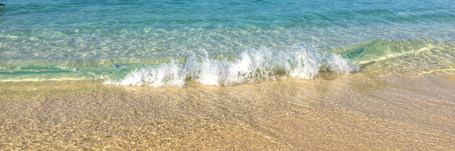 Leggs banner