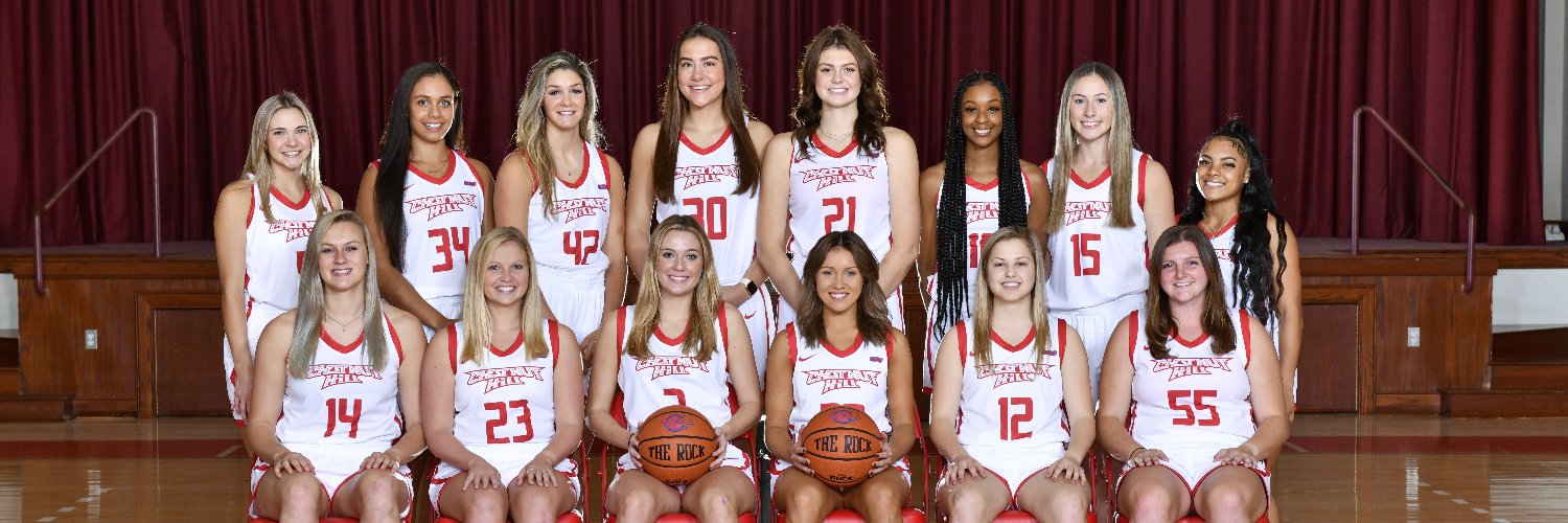 Chestnut Hill Women's Basketball banner