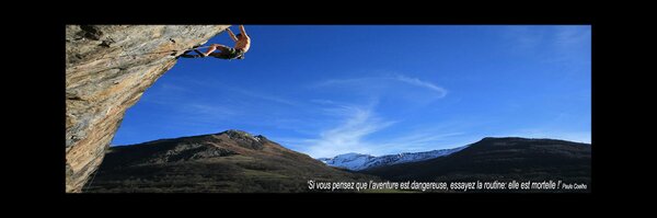 L_DLC Profile Banner