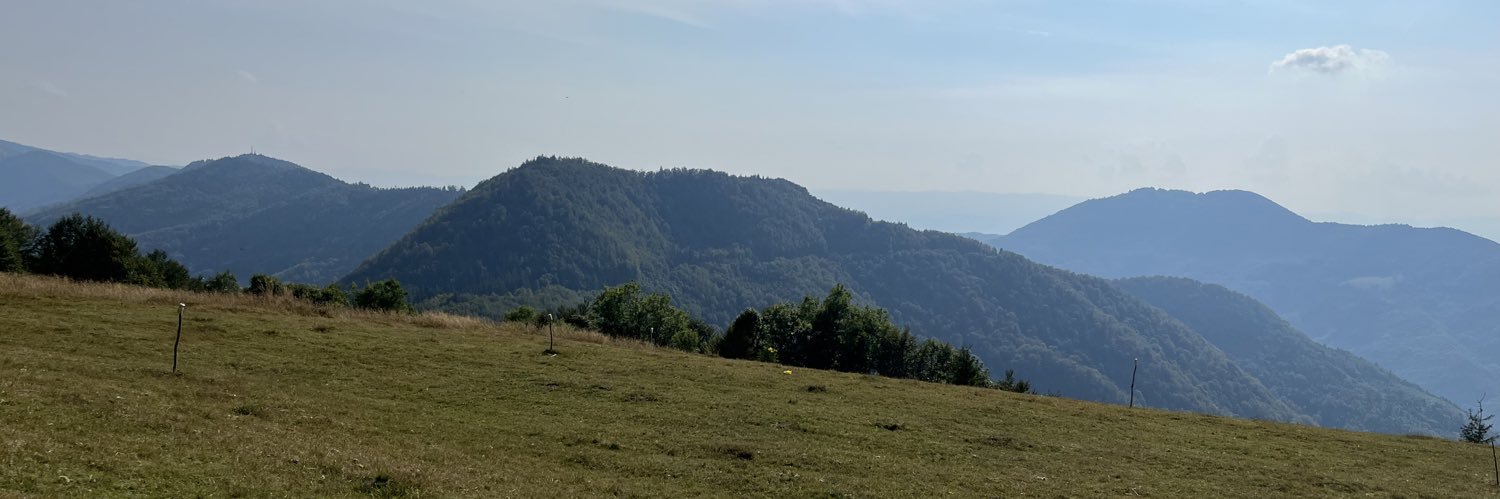 siriniok's profile banner image