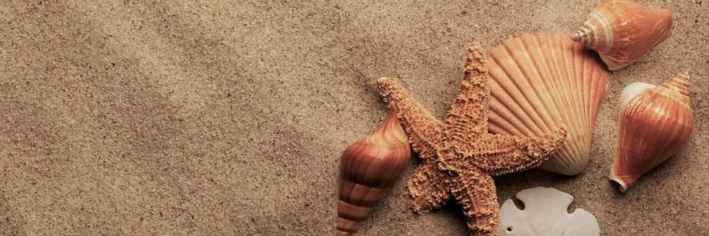 Demmi ☀️🤟🤞🍀 banner