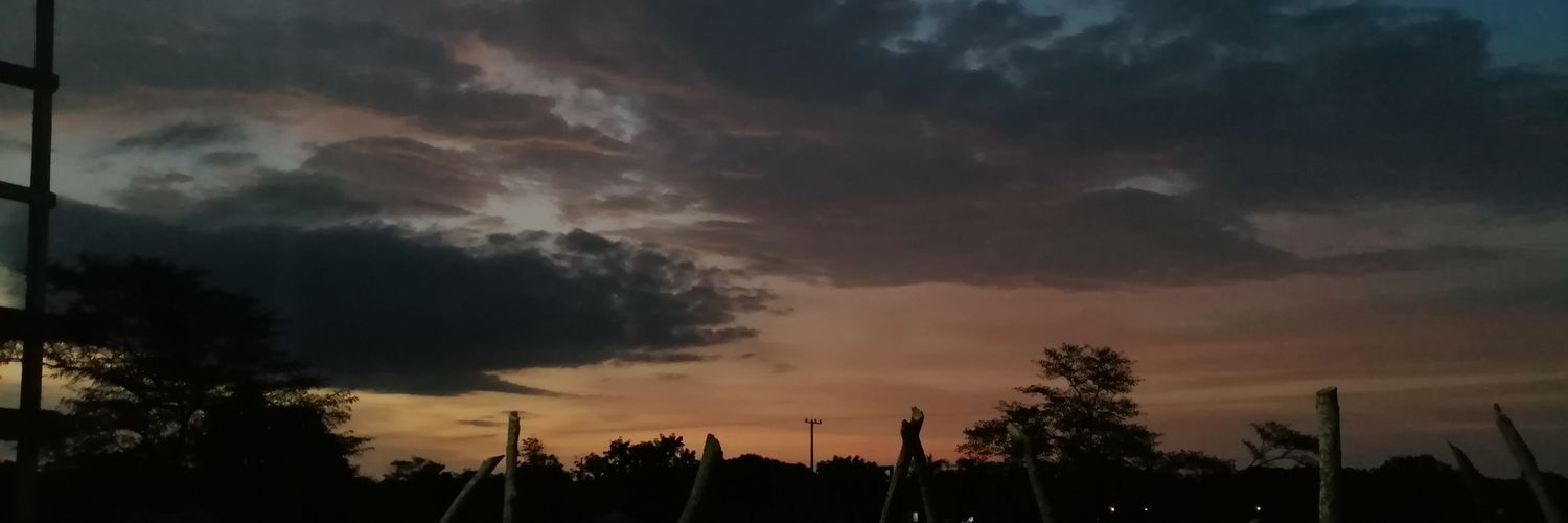 userqueen_'s profile banner image