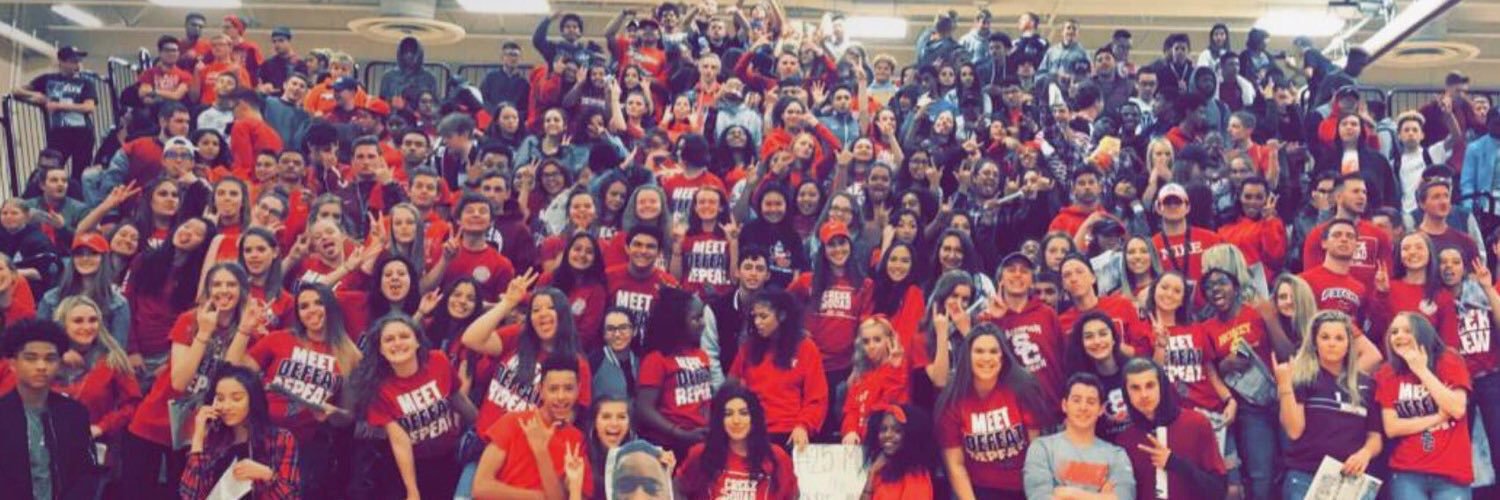 Scorpions Athletics banner