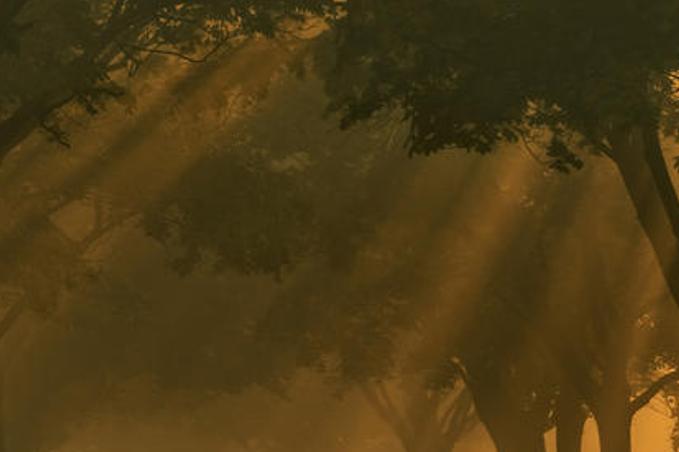 intablal's profile banner image