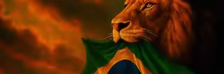 BethHabib's profile banner image