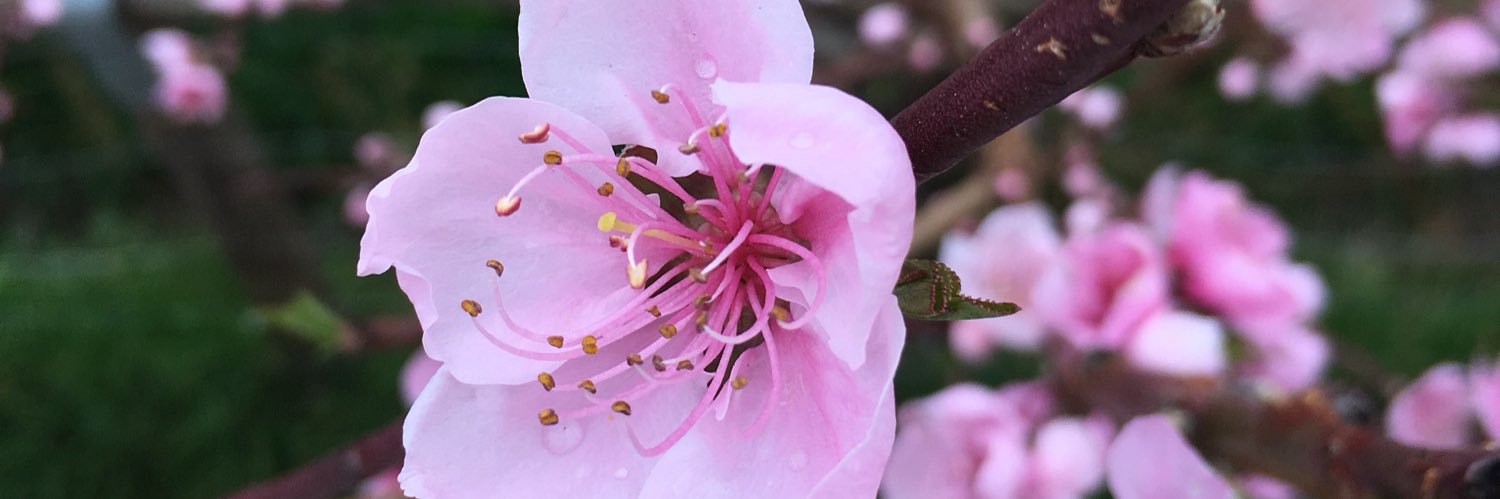 MartinaDiMarco's profile banner image