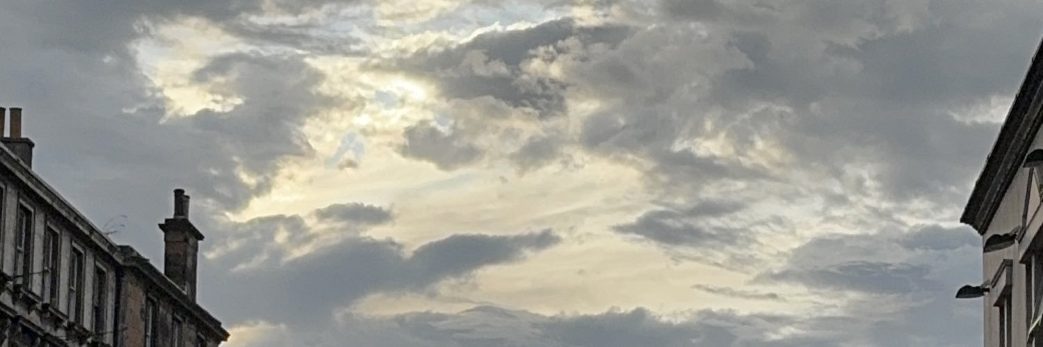FilsketPony2's profile banner image