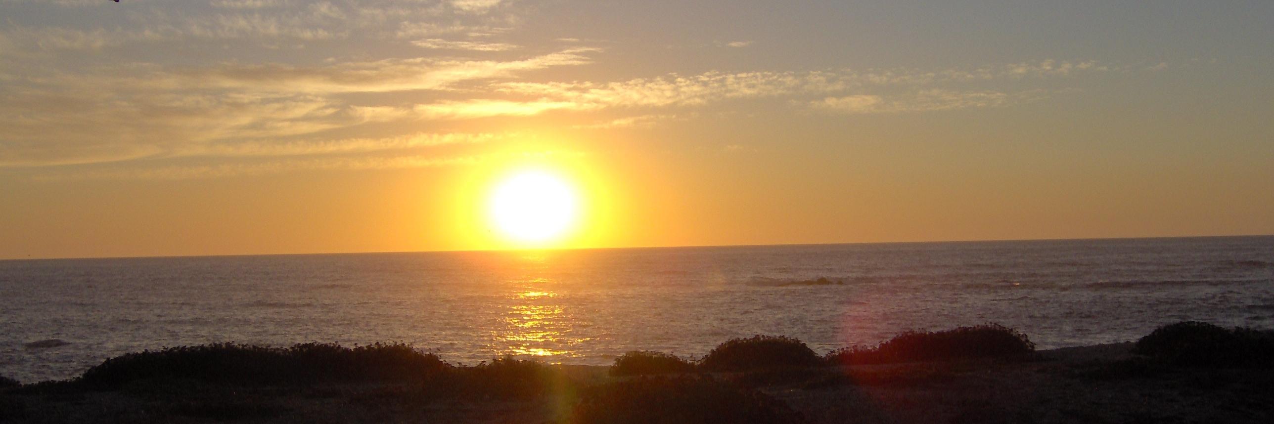 BarcelosCock's profile banner image