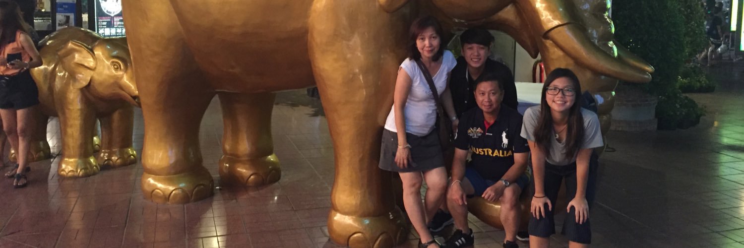 Elsoncheww's profile banner image