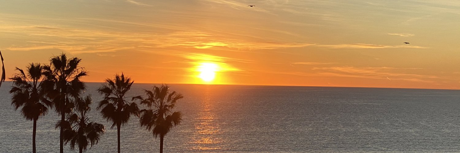 Hilary Pollack banner