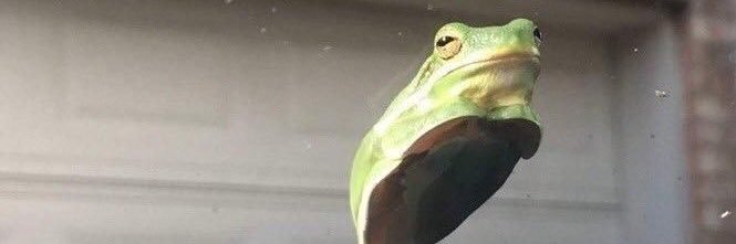 softieannaa's profile banner image