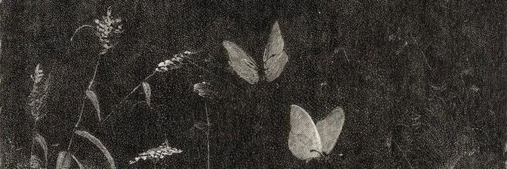 intolerntgrl's profile banner image