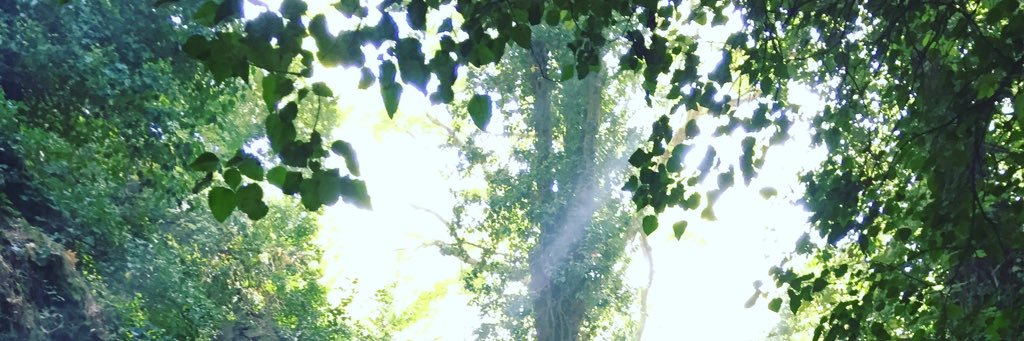 Ceylanbolukbasi's profile banner image