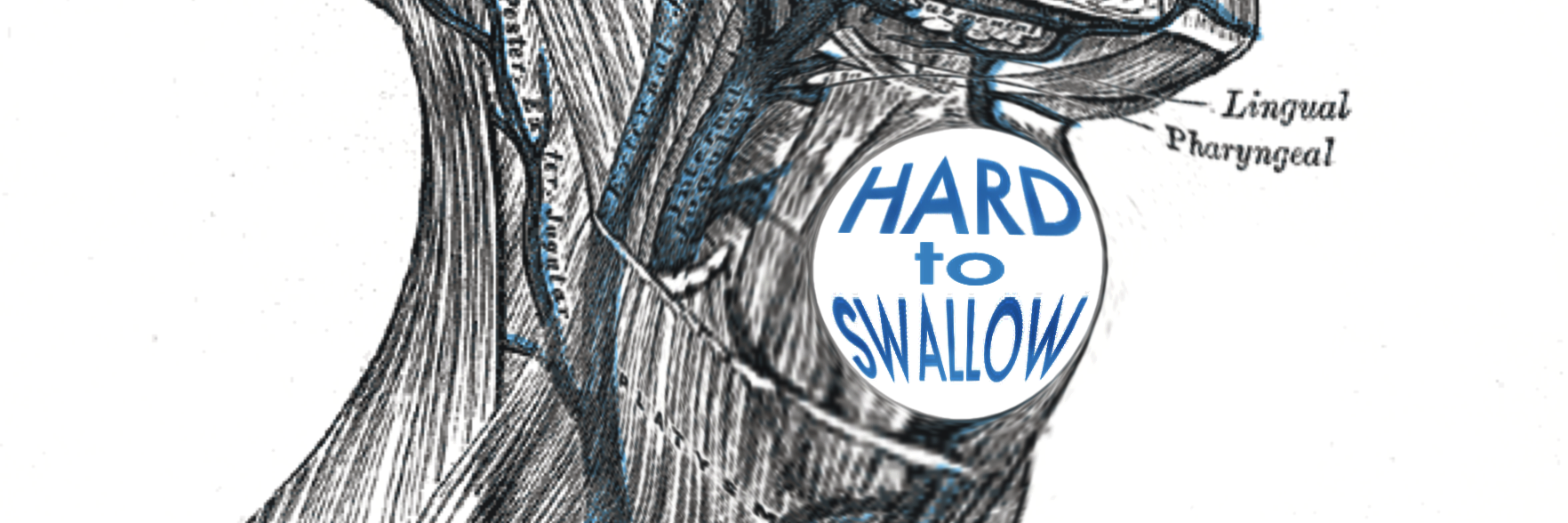 swallow_hard's profile banner image