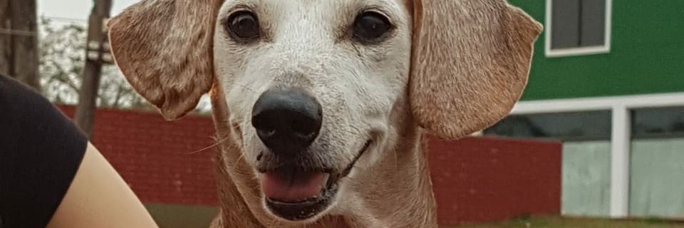 chichiayala04's profile banner image