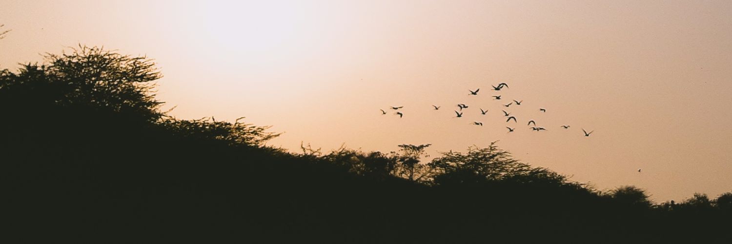 Shomathomas's profile banner image