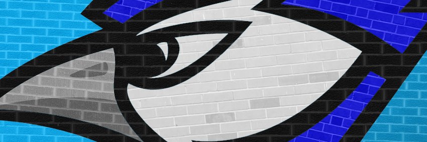 Charleston R-I Schools banner