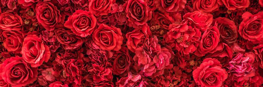 🌹 banner