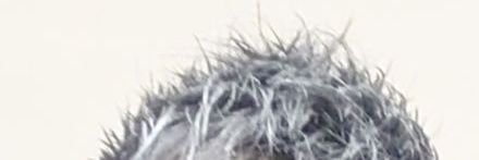 m_mickey822's profile banner image