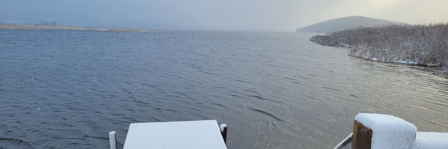 Janice Basque banner