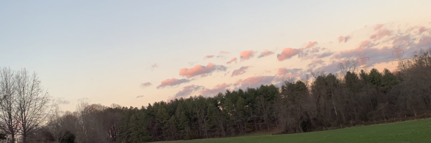 iconicilly's profile banner image