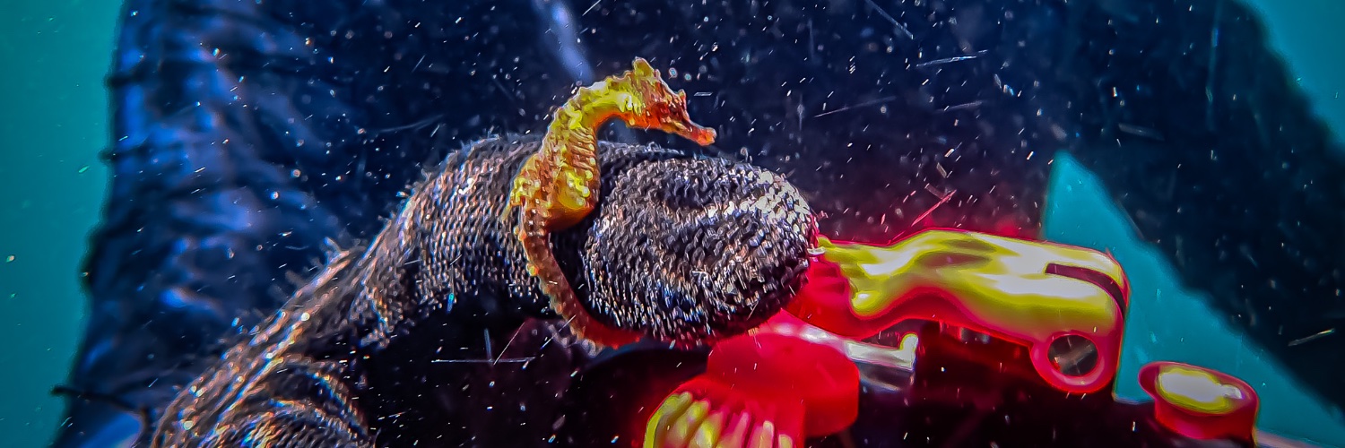 God'sFavouriteAtheist. banner