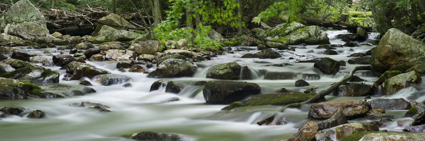 Virginia Water Center banner