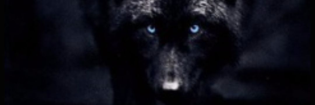 BigD4433's profile banner image