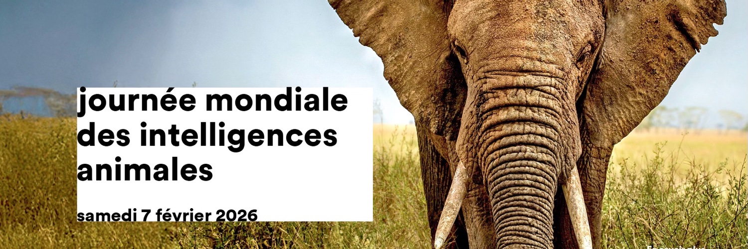 L'Animal & l'homme banner