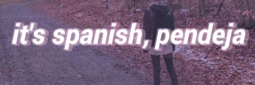 sthcompinches's profile banner image