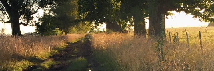 NeriLezcano's profile banner image