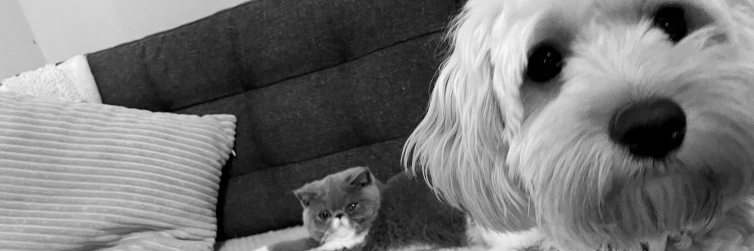 amber_k18's profile banner image