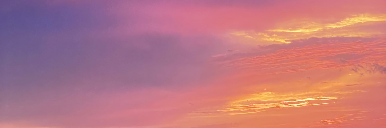 dpatriciar9's profile banner image