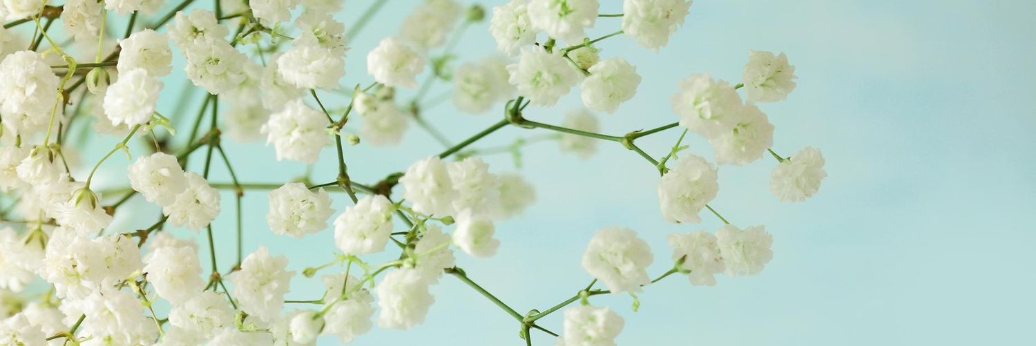 JuNgaina's profile banner image