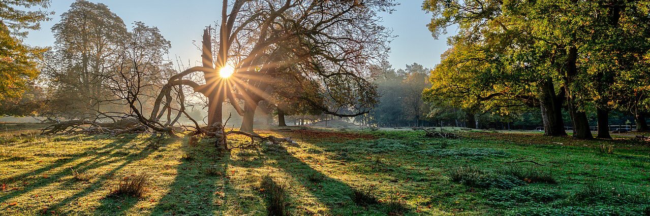 Mc-Aldon Owusu Binney™️🇦🇺🇬🇭 banner