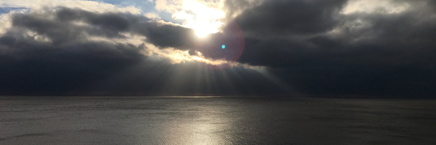 pinkiristoo's profile banner image