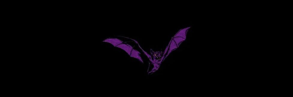 Slinnky's profile banner image