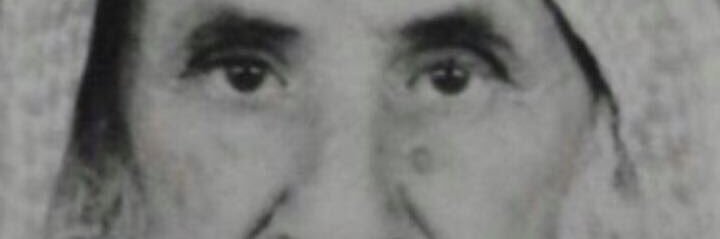 ملوح هادي آل دحباش banner