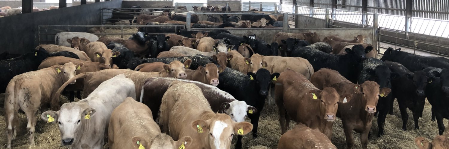 Matt Underwood banner