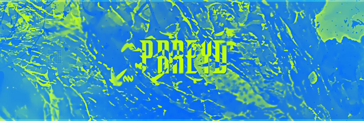 Pareyd banner