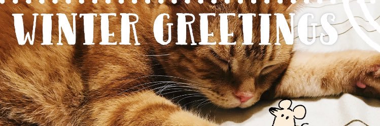 2679June's profile banner image